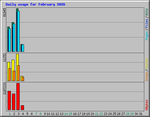 Daily usage for February 2026