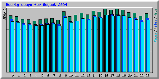 Hourly usage for August 2024