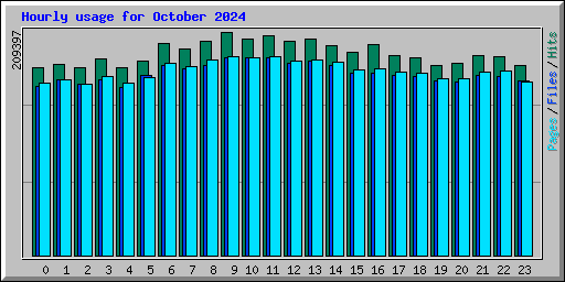 Hourly usage for October 2024