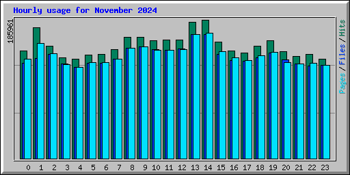 Hourly usage for November 2024