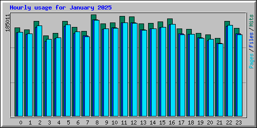 Hourly usage for January 2025