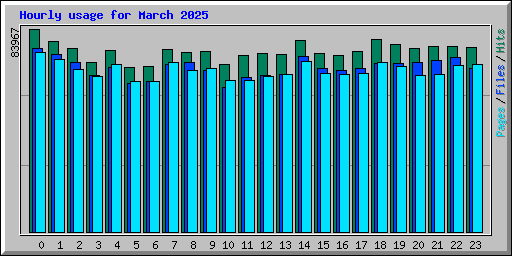 Hourly usage for March 2025