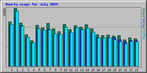 Hourly usage for July 2025