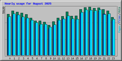Hourly usage for August 2025
