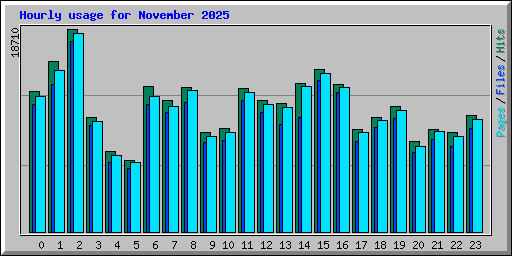 Hourly usage for November 2025