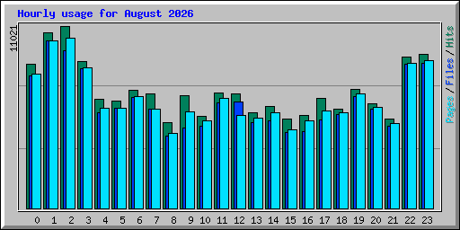 Hourly usage for August 2026