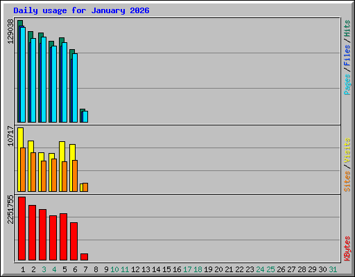 Daily usage for January 2026