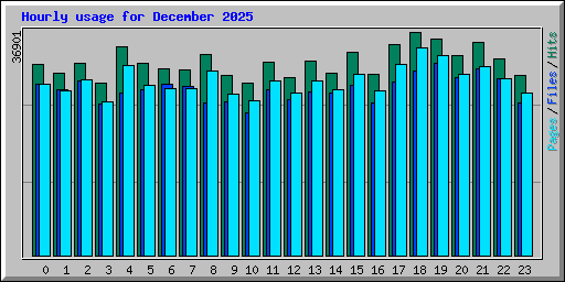 Hourly usage for December 2025