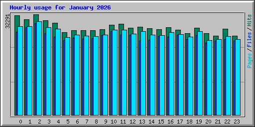 Hourly usage for January 2026